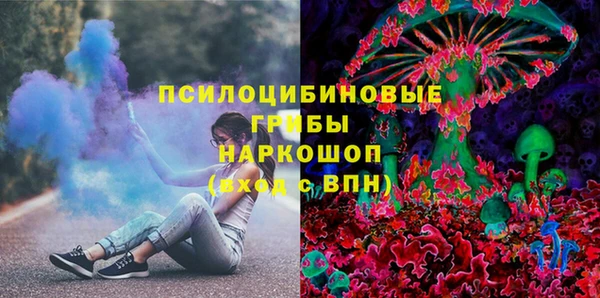 гашик Алексеевка