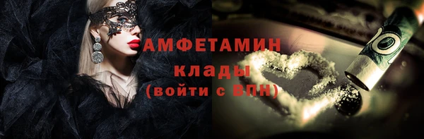 гашик Алексеевка