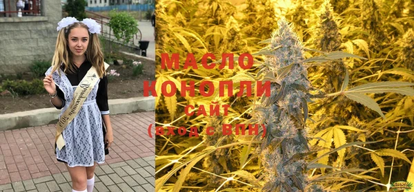 гашик Алексеевка