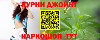apvp Кингисепп