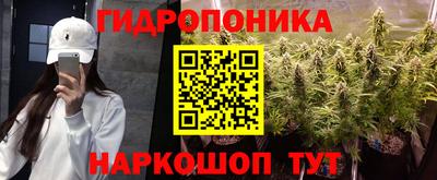jwh Кинель
