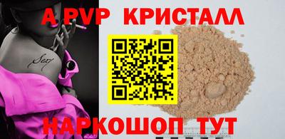 apvp Кингисепп