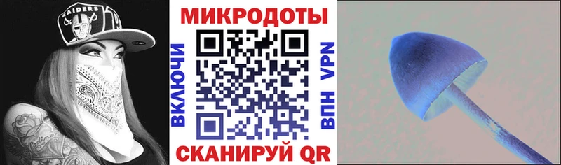 это какой сайт  закладка  Людиново  Псилоцибиновые грибы Psilocybine cubensis 